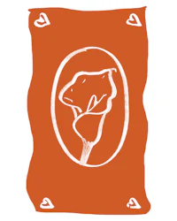 a drawing of a flower on an orange background