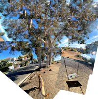 a collage of pictures of a tree and a swing